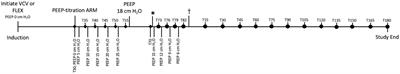 Flow-controlled expiration reduces positive end-expiratory pressure requirement in dorsally recumbent, anesthetized horses